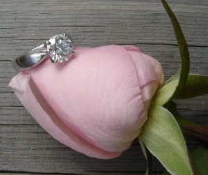 Diamonds in Bloom 3.jpg