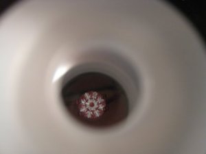 IMG_26900.jpg