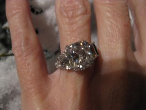 IMG_0219snowyring.jpg