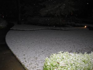 IMG_0196snow5yard.jpg