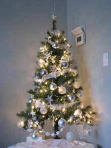 IMG_2706 sized.jpg