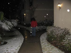 takingitallin121008.JPG
