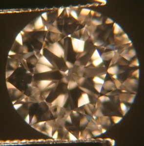 CXF3401.jpg