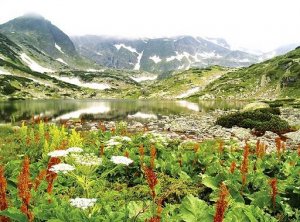 rila12.jpg