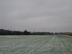 IMG_7870.jpg