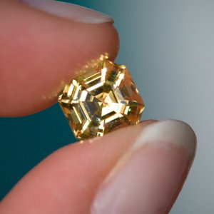 20080502-Garnet-IMG_3741.jpg
