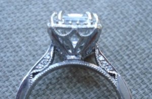 terdetail1.JPG