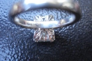 terdetail2.JPG