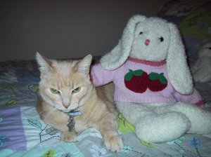 cat_sm.jpg