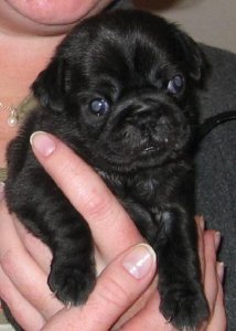 BabyStan.JPG