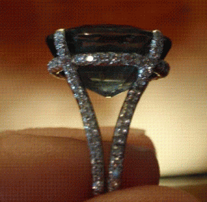 P6010013.GIF