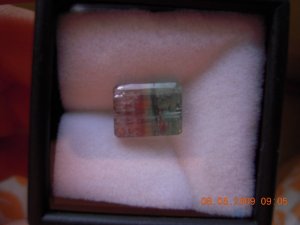 SSCN7055.JPG
