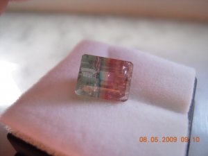 xSSCN7053.JPG