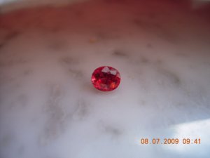 SSCN7075.JPG