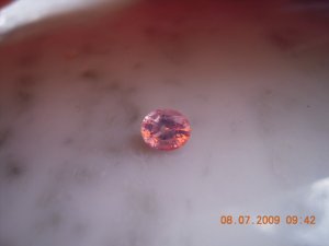SSCN7076.JPG