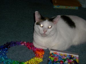 callyandbeads.JPG