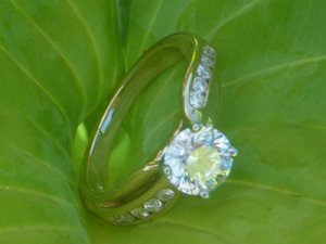 new_ring 036a.jpg