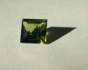 IMG_2072closeup.jpg