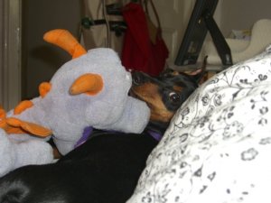 sideeyewithfigment.jpg