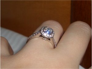 engagement056111.jpg