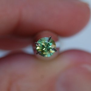 kiz-gldemantoid2.jpg