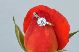 Flower 2 080509.JPG