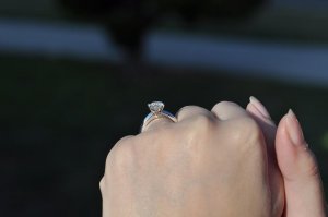 Profile Hand 1.JPG