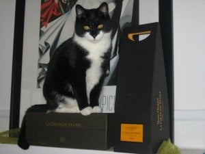 mz_la grande dame.jpg