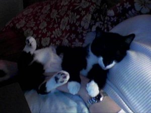 mz_blissed out.jpg