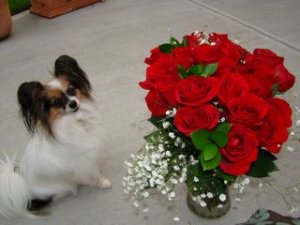 engagement 169.jpg