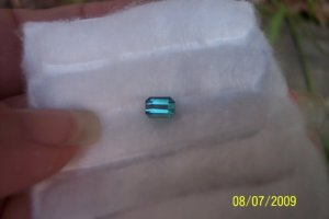 2009-08-06 012.jpg