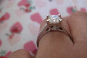 engagment2.jpg