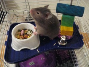 IMG_0417small.jpg