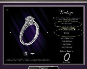 scottkayrinpageinfo0809.JPG