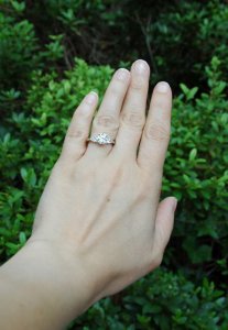 DSC_5145_2_2.jpg