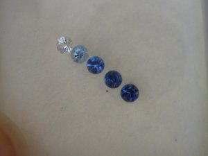 IMG0411.jpg