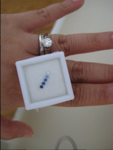 IMG0409.jpg