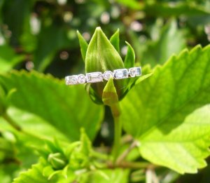 MAY2010 853.jpg