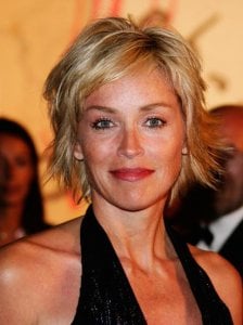 sharonstonehairuppy8.jpg