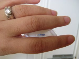 IMG0406.jpg