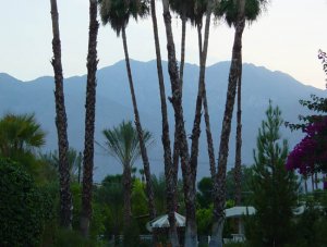 palm springs mountains dusk sm.jpg