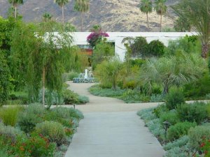 palm springs dusk grounds sm.jpg
