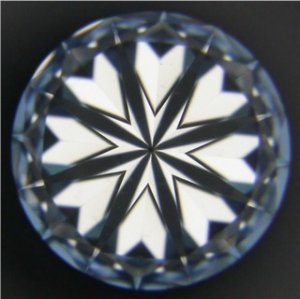 web257406H.JPG