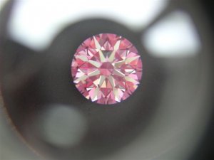 PICT00019.jpg