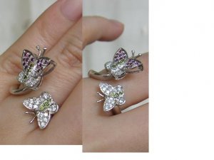 ButterflyRing2.JPG