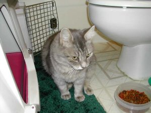 DSCN2028.JPG