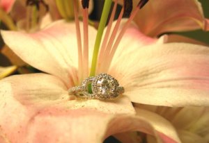 IMG_5840blingading.jpg