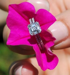 flowertwo.jpg