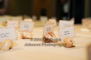 20_shells.jpg