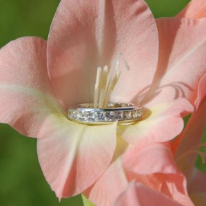 flowerfabulousSM2008.jpg